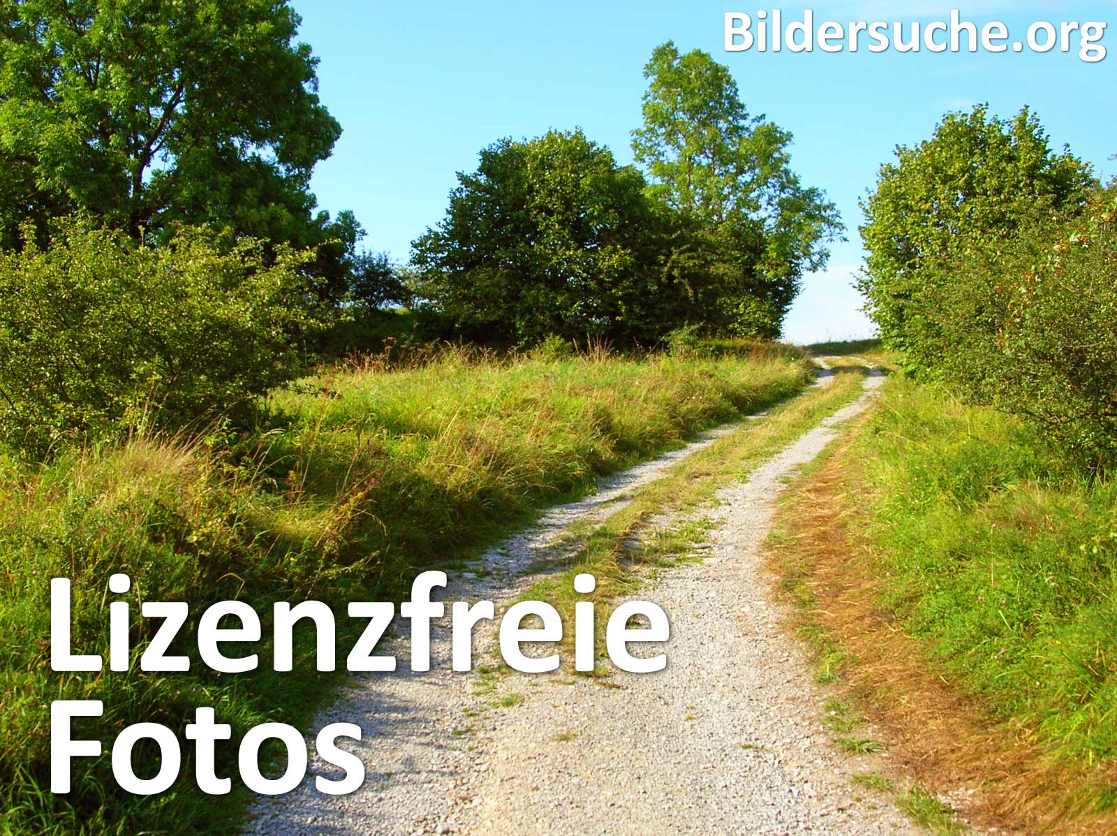 Lizenzfreie Bilder Zur Kostenlosen Nutzung