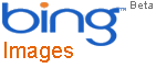 Bing Bildersuche Logo